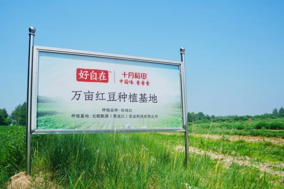 黑土地孕育 "珍珠红"：元气森林好自在万亩红豆基地迎来萌芽季新闻图