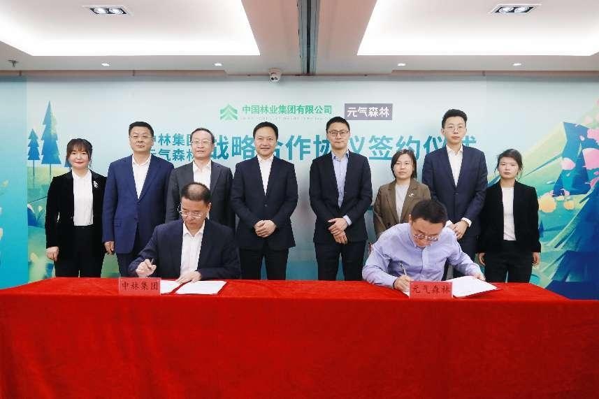 元气森林与中林集团签署战略合作协议，“森林有元气”公益项目正式启动新闻图